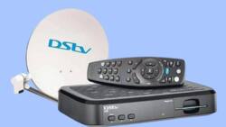 DStv Compact channels and subscription price in Nigeria 2022