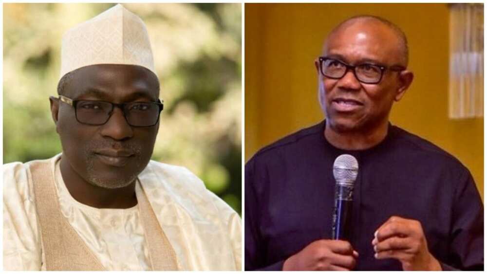 Peter Obi, NNPP, Ahmed Makarfi, Labour Party, 2023 presidential election