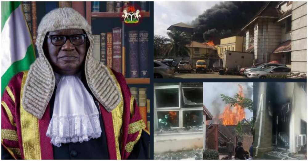 Justice Tsammani/Tribunal Justice Tsammani/Tribunal