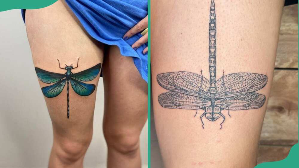 Dragonfly tattoo on the thigh