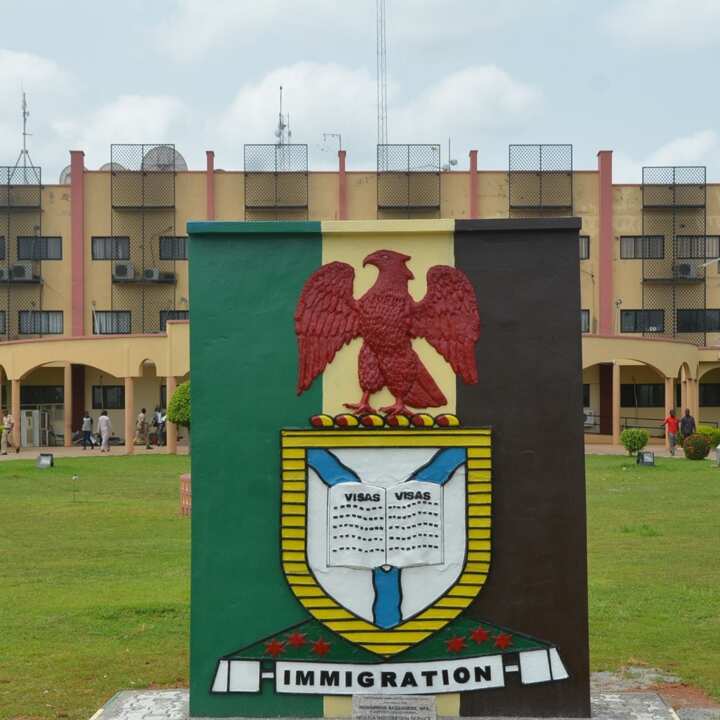 Nigeria Immigration Service Ranks And Structure Departments Legit Ng