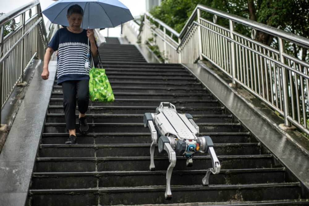 A robot dog walks down a pedestrian bridge in the Asian Games host city Hangzhou