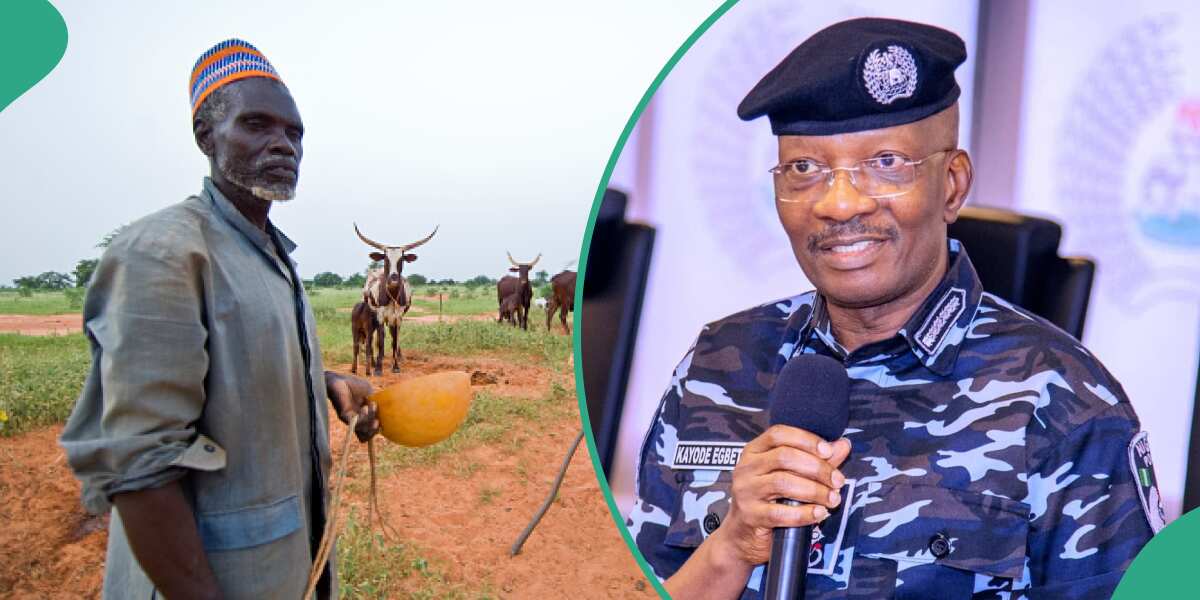 Shocking: How police arrest, ‘brutalise Nigerian journalist for taking photos of cattle’, details emerge
