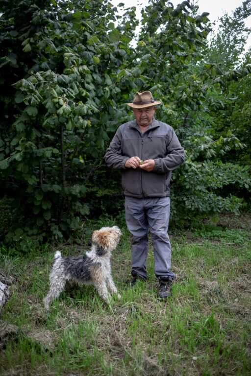 Truffle farmer Gheorghe Silian with his dog in Archita village