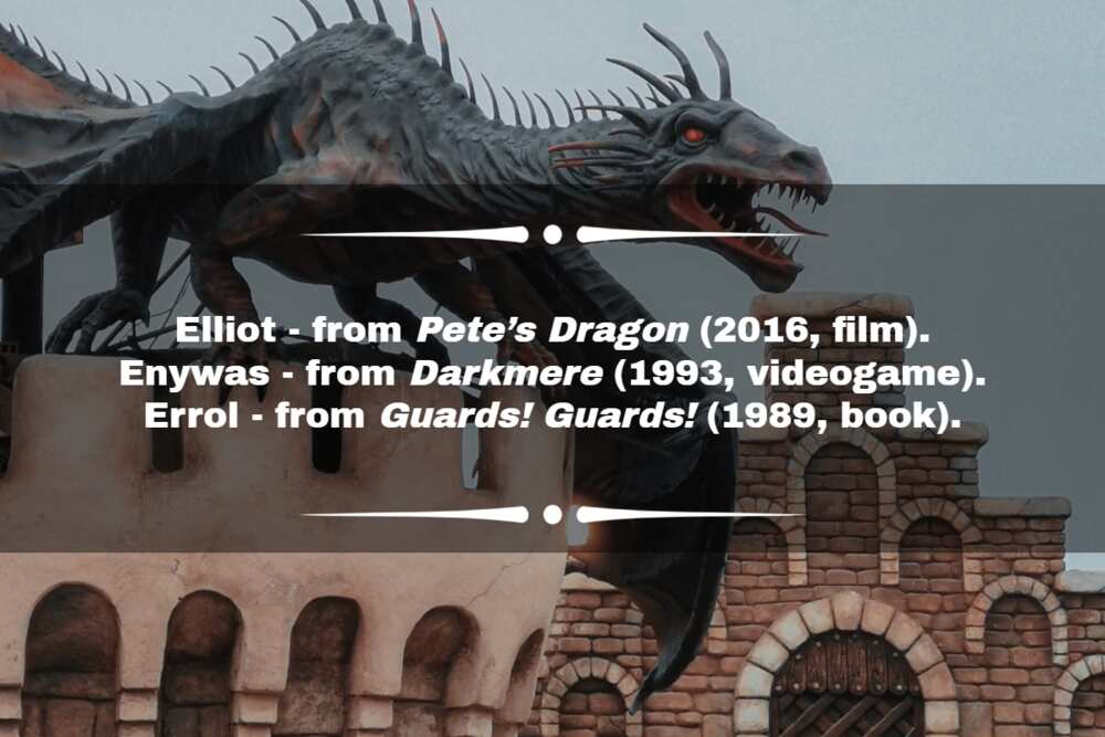 Famous dragon names