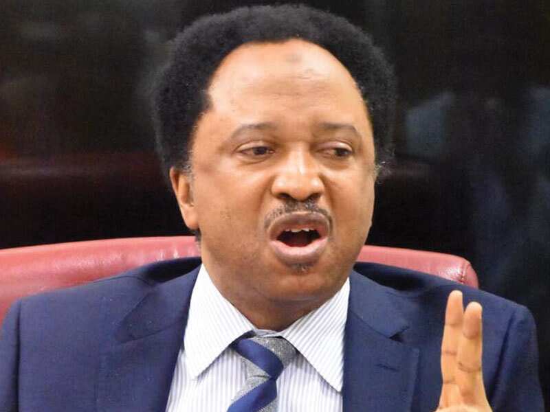 Shehu Sani laments Nigerians are more divided in home than abroad