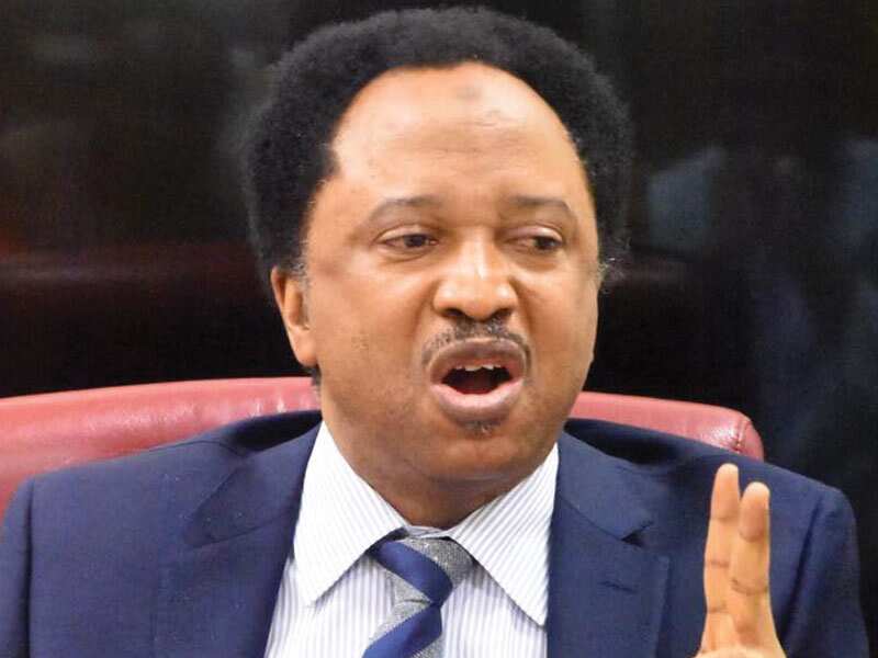 Talauci Ke Ƙara Rura Wutar Ta’addanci a Nigeria, Shehu Sani