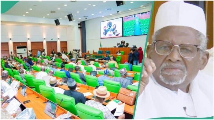 BREAKING: Presidential or parliamentary in Nigeria? Kano's respected billionaire Dantata opens up