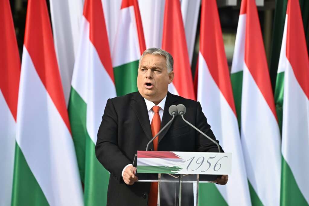 Hungary PM in new anti-EU tirade amid protests by teachers