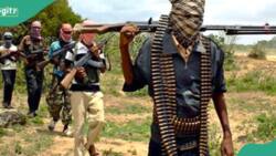 Gunmen demand N100m ransom for 9 kidnapped Ekiti school children