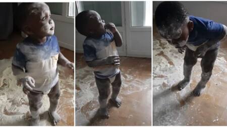 "You go collect Woto Woto": 'Mischievous' kid spills powder, messes up himself, gets caught by mum in video