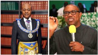 Peter Obi’s lawyer Dr Ikpeazu has never lost a case before? Fact emerges