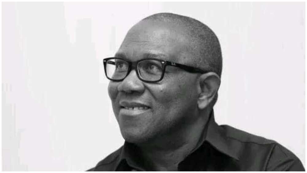 Peter Obi/Labour Party/INEC/PVC/2023 elections