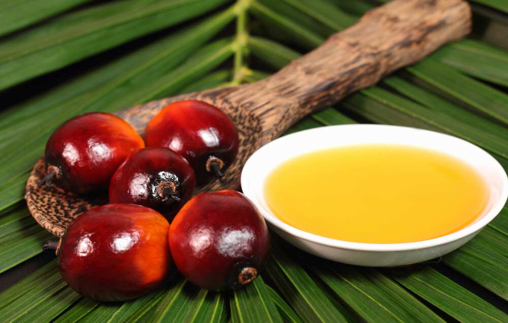 Palm kernel oil to lighten the skin