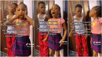 "He needs a lawyer": Brother & sister fight, mum instructs they only explain themselves in Yoruba, boy vexes