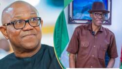 “This act is demeaning”: Peter Obi condemns Police, DSS ‘humiliating arrest’ of LP chairman Abure
