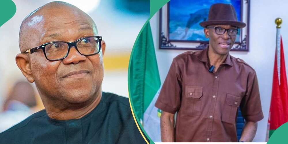 Labour Party chairman should not Julius Abure according to Peter Obi's ally