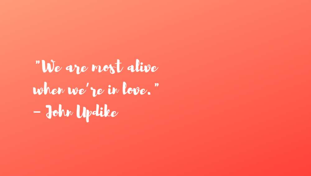 Cute quotes for your girlfriend Cute quotes for your girlfriend