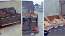 Country hard dear: Nigerian man converts his G-Wagon car into pickup van, uses it to carry firewood in video