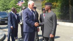 Nigerians trade words on Twitter over comparison between Osinbajo and Pence