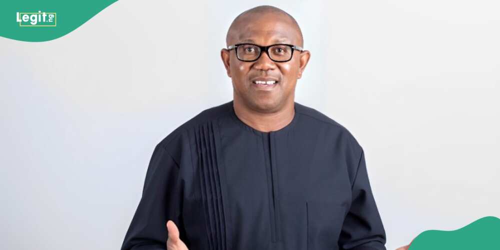 Peter Obi advises international supporters on who to vote for during the UK election