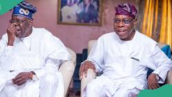 Ex-leader, Obasanjo meets President Tinubu? Fact emerges