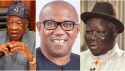 Obi's leaked audio: ‘What is my offence’, Lai Mohammed reacts to Edwin Clark's call for his arrest