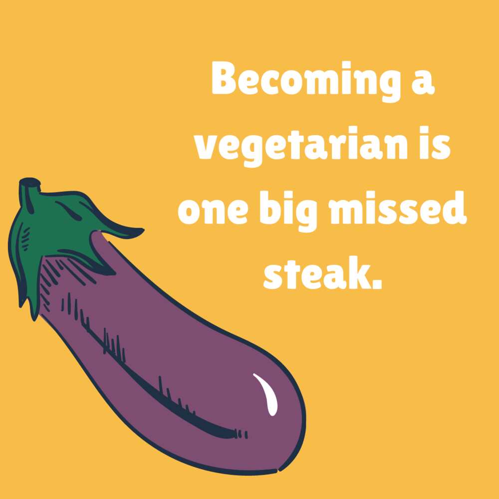 stupid puns stupid puns