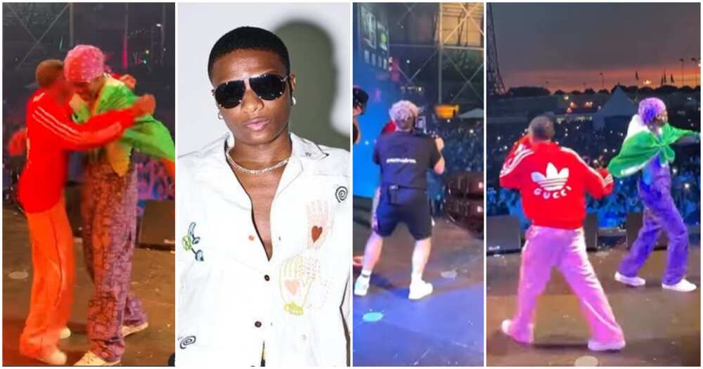 Wizkid, Rema, music festival, The Netherlands