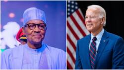 Details emerge as Biden invites Buhari, 48 other world leaders for important summit in US
