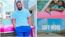 Falz celebrates 5th anniversary of his 2016 hit single Soft Work, fans hail rapper for making a 'jam'