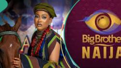 "BBNaija is owing me BTC of N90m": Phyna calls out multichoice, vents frustration over alleged debt