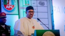 What Buhari needs from Nigerians to succeed - APC