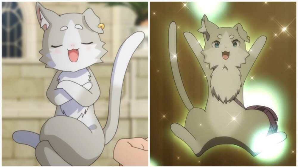 anime cat character
