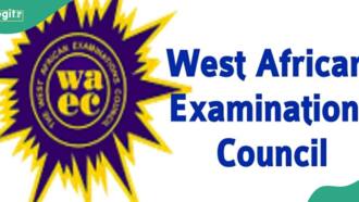 BREAKING: WAEC releases results of first ever CB exams