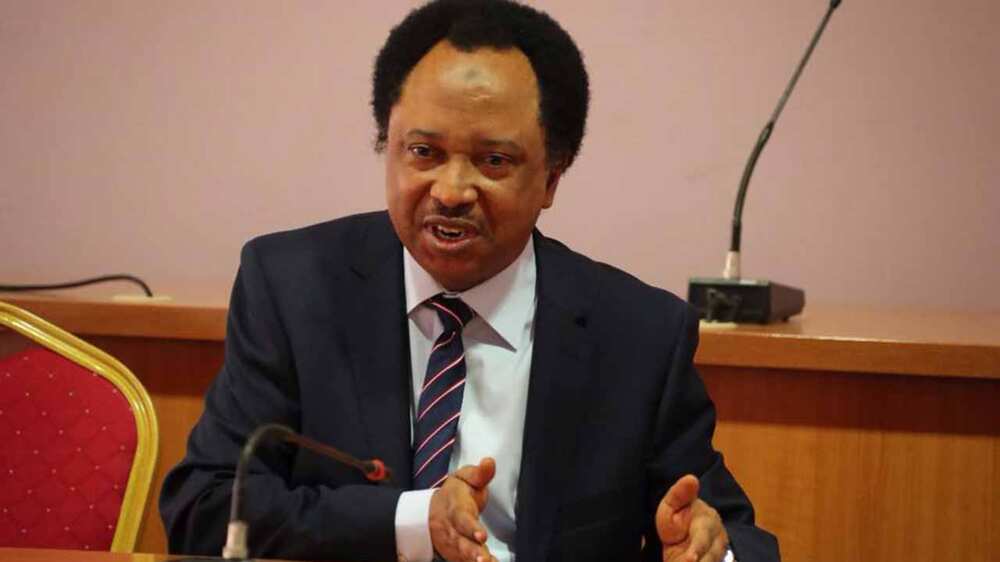 Shehu Sani ya yi gargadi mutane kan shigo da gasar jima'i Najeriya