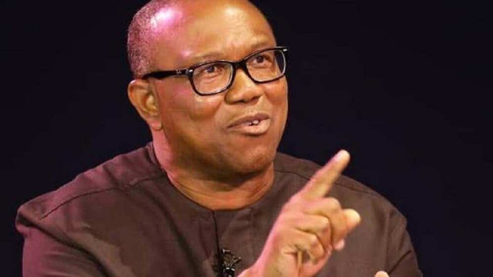 Peter Obi ga Buhari: Ka dinga daukan hoto da 'yan Najeriya masu tasiri, ba 'yan siyasa marasa daraja ba