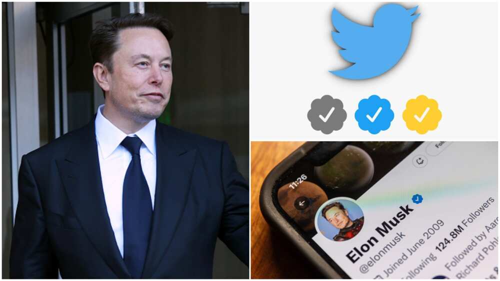 Elon Musk's Twitter/Verified badges