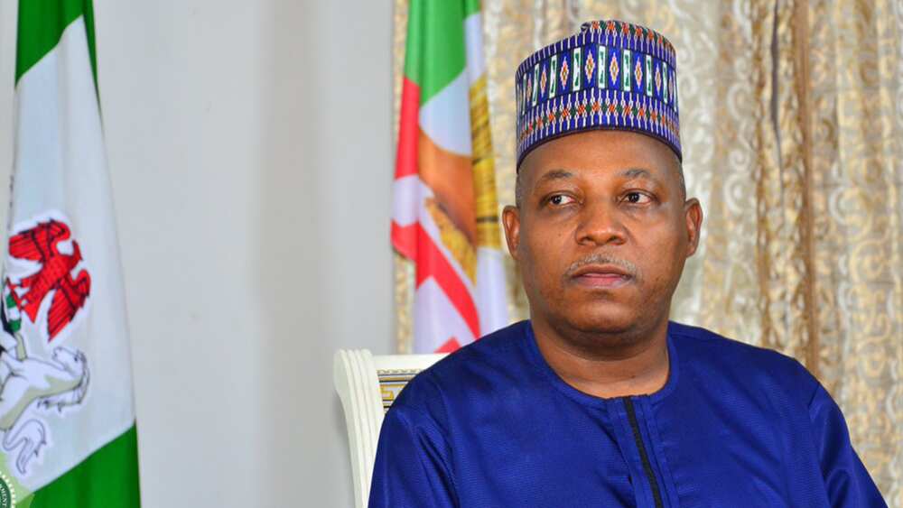 Gwamnan Jihar Borno Kashim Shettima