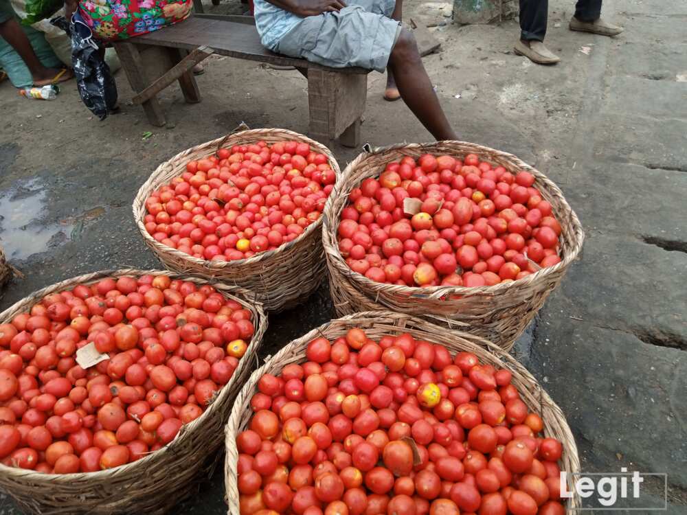 Tomatoes, Lagos market