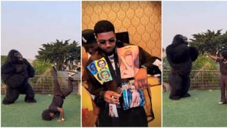 Beryl TV 880df543147dfa87 “My Mummy Don Reply Me O”: Portable Loses His Mind as Tiwa Savage Finally Replies His DM, Voice Note Trends 