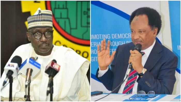 4 things that will happen if petrol price becomes N340 per litre - Shehu Sani reveals
