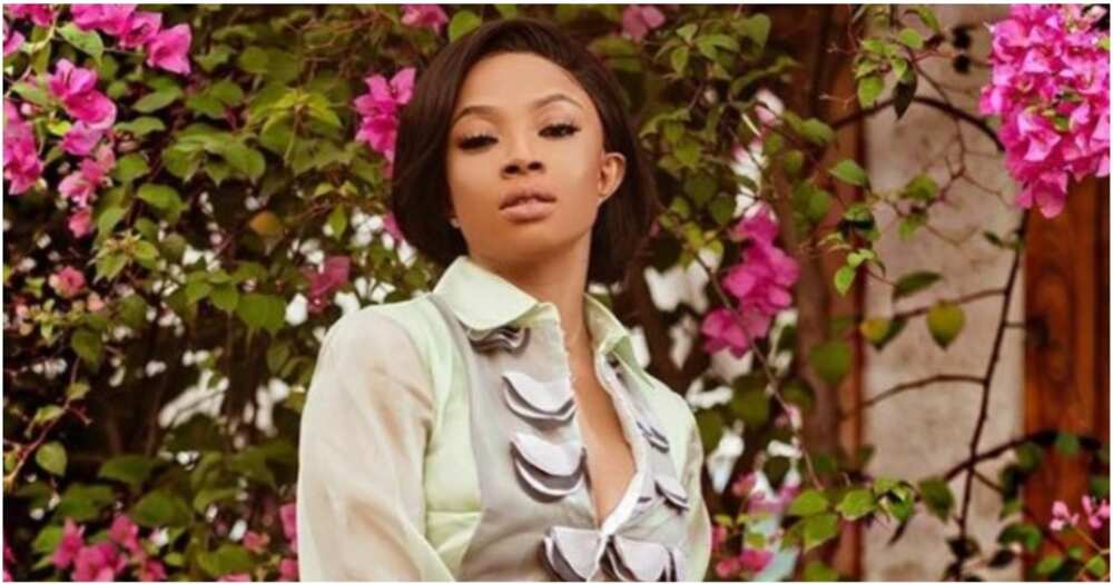 If you’re married to a man with greedy in-laws, put the properties in your children’s names - Toke Makinwa