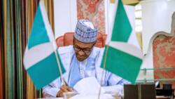 Buhari makes cruial appointment, names 4 new perm secs amid controversy