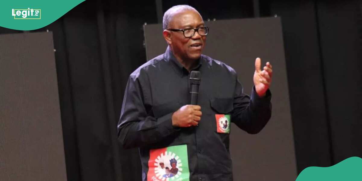 Nigerians attack Peter Obi after former aide says he bought over 400 SUVs for traditional rulers