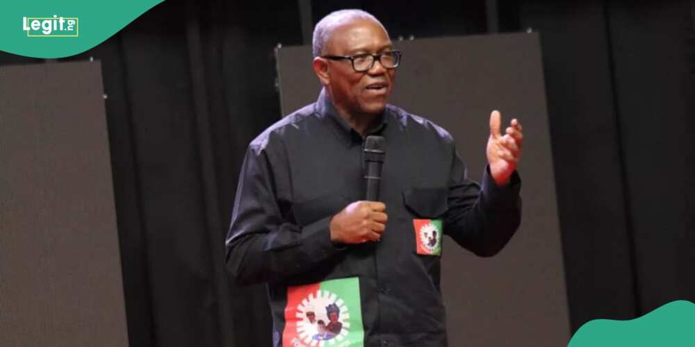 Peter Obi under fire as former aide says he bought over 400 SUVs for monarchs as Anambra governor