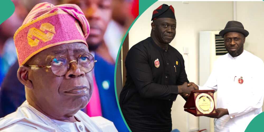 Tinubu, Niger Deltans, Ijaw Youth Council, presidential amnesty programme