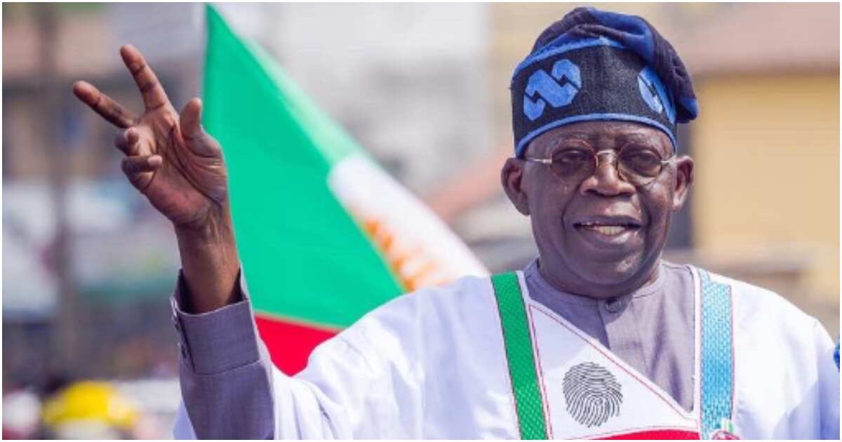 BREAKING: Wikipedia Updates Tinubu's Profile As President-Elect - Legit.ng