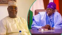 “Tinubu's reforms are without a human face”: Atiku rejects electricity tariff hike