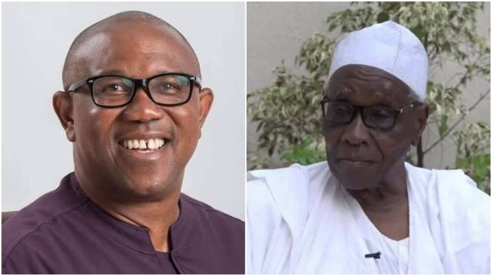 APC, PDP, 2023 election, Northern Elder, Ango Abdullahi, Peter Obi